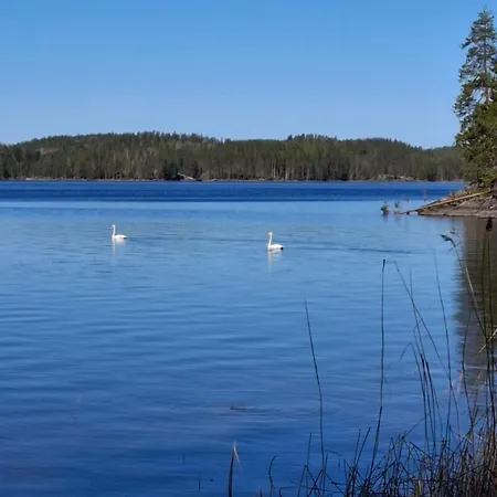 Ahopelto * Savonlinna