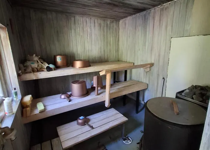 Ahopelto * סאבונלינה