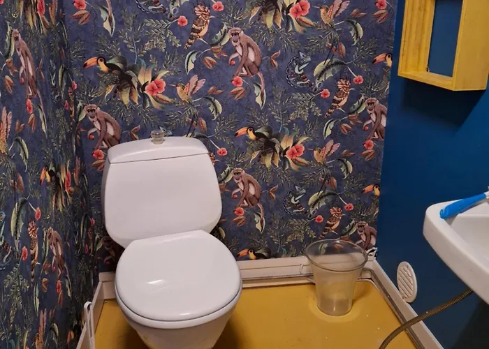 Ahopelto בית כפרי