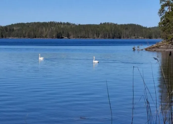 Ahopelto * סאבונלינה