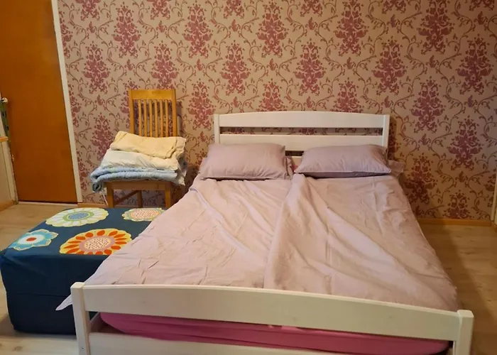 בית כפרי Ahopelto סאבונלינה